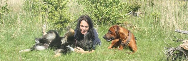 ami-de-chiens